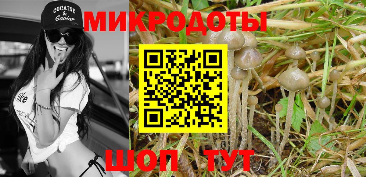 Псилоцибиновые грибы прущие грибы Калач-на-Дону